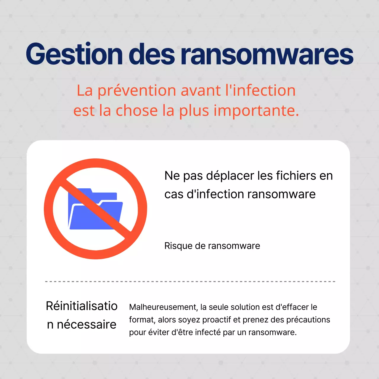 Une prévention sérieuse des ransomwares en bleu marine et en gris