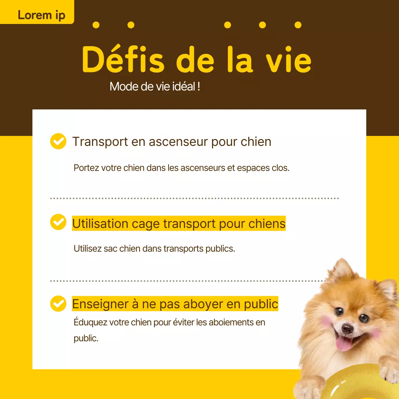 Billet d'information pour animaux de compagnie en jaune et bronze