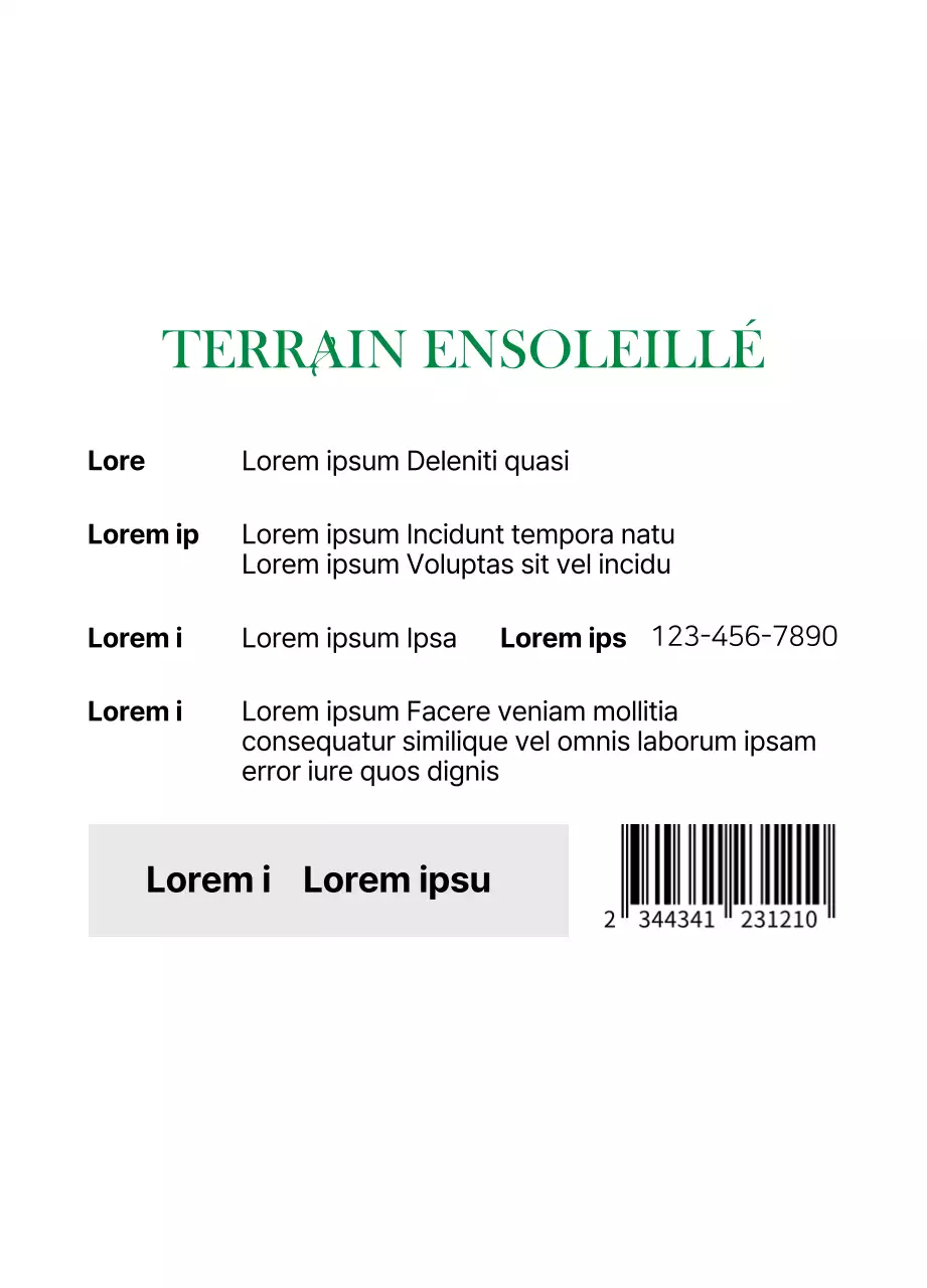 Sachets de thé luxueusement incurvés