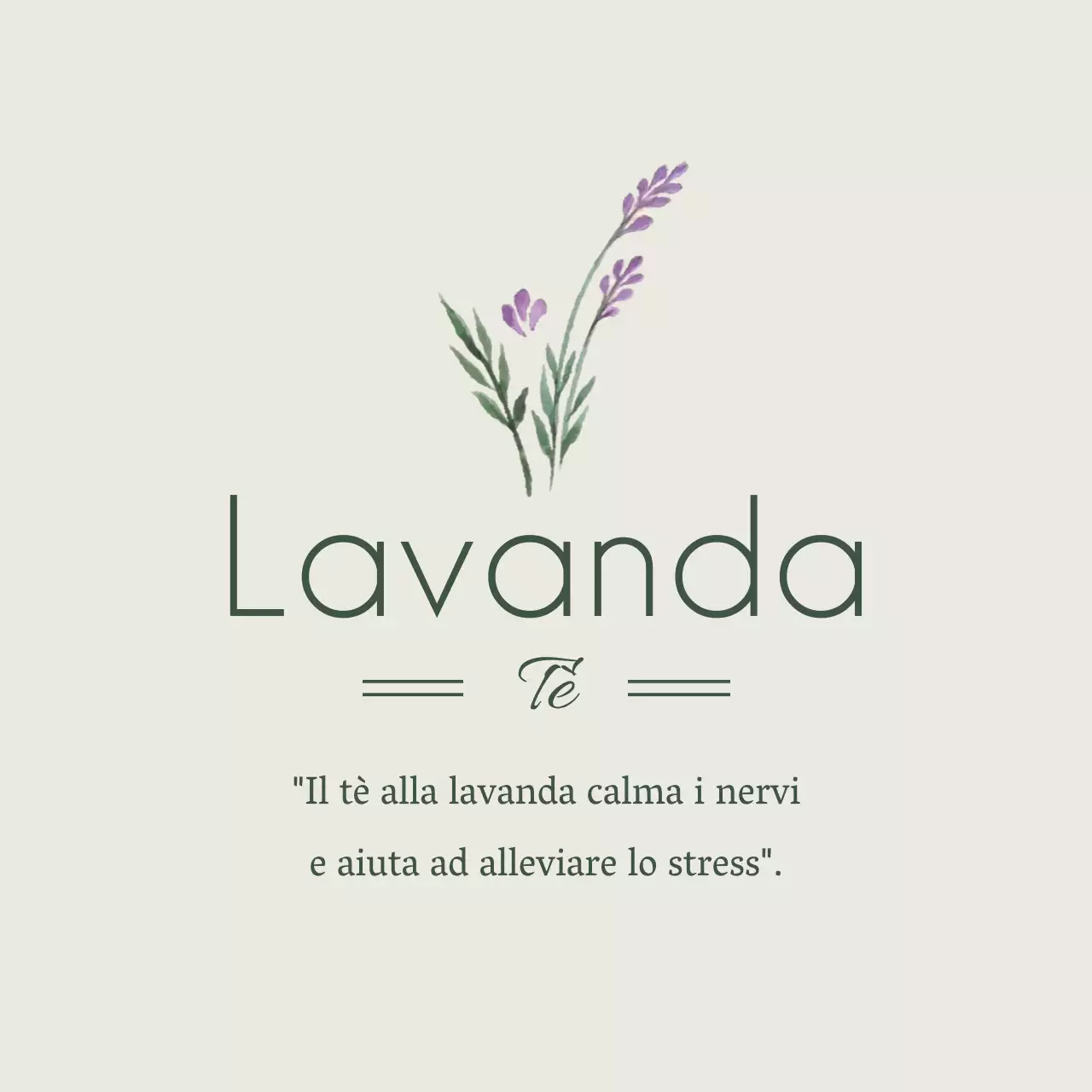 Lavanda