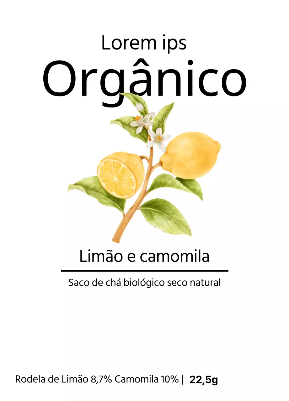 Saquetas de chá de frutas biológicas com ilustrações de frutas em aguarela