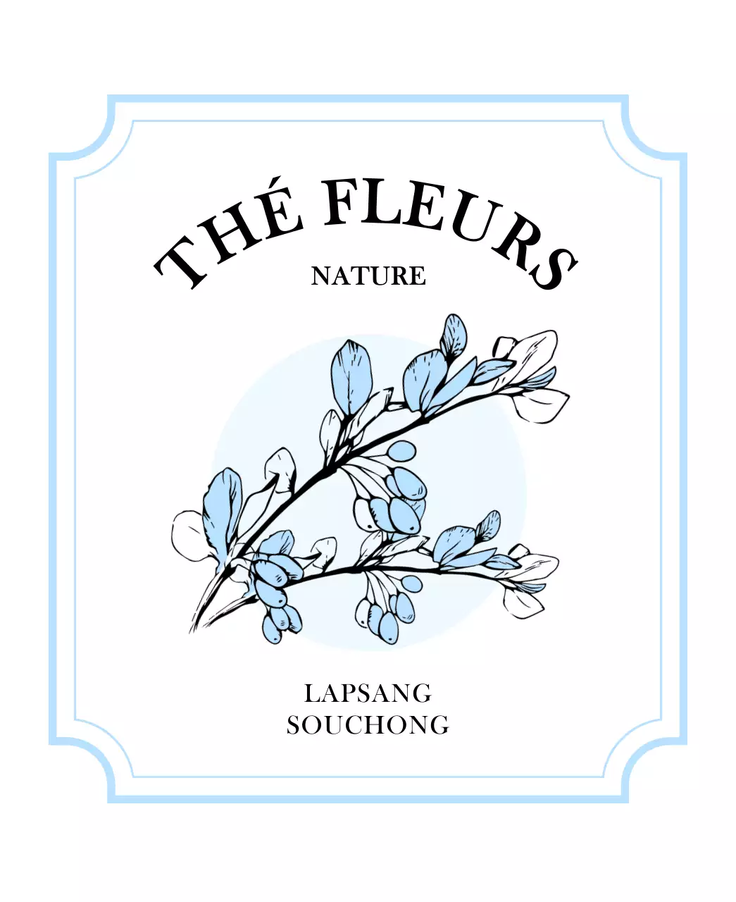 Sachets de thé luxueux avec des illustrations de plantes et de baies en rose pastel et bleu clair