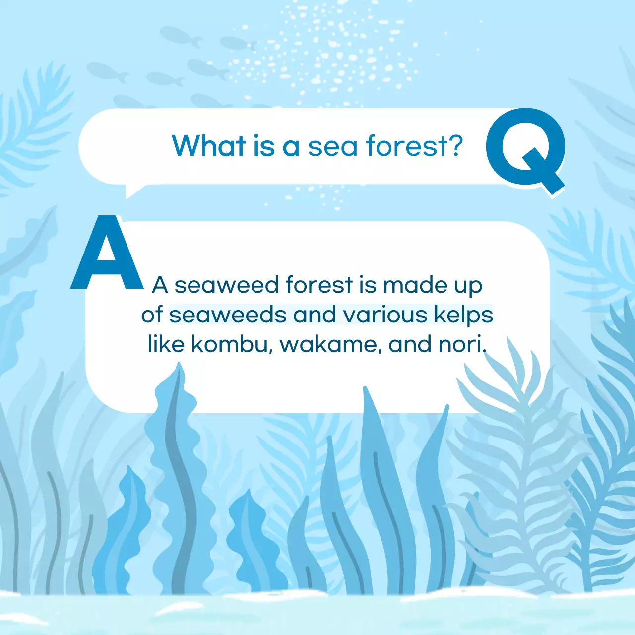 Blue Modern Ocean Announcement Instagram Carousel