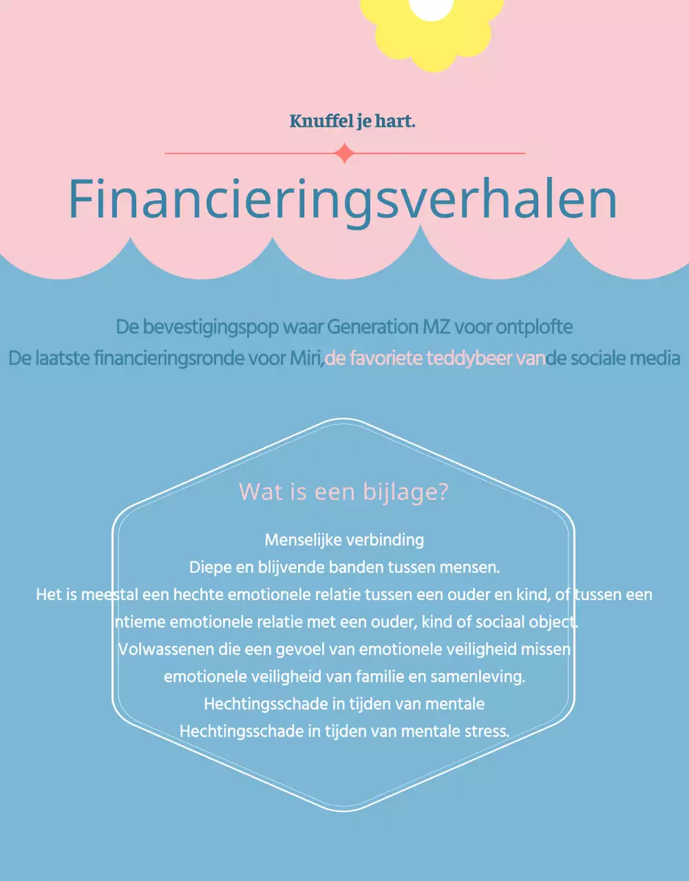 Een financieringspitch voor een roze en lichtblauwe knuffelpop