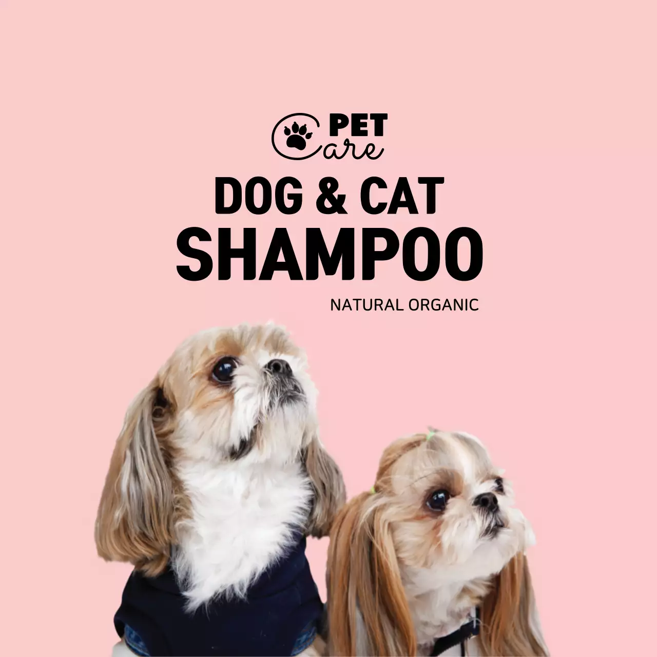 pink logo photo simple pet label