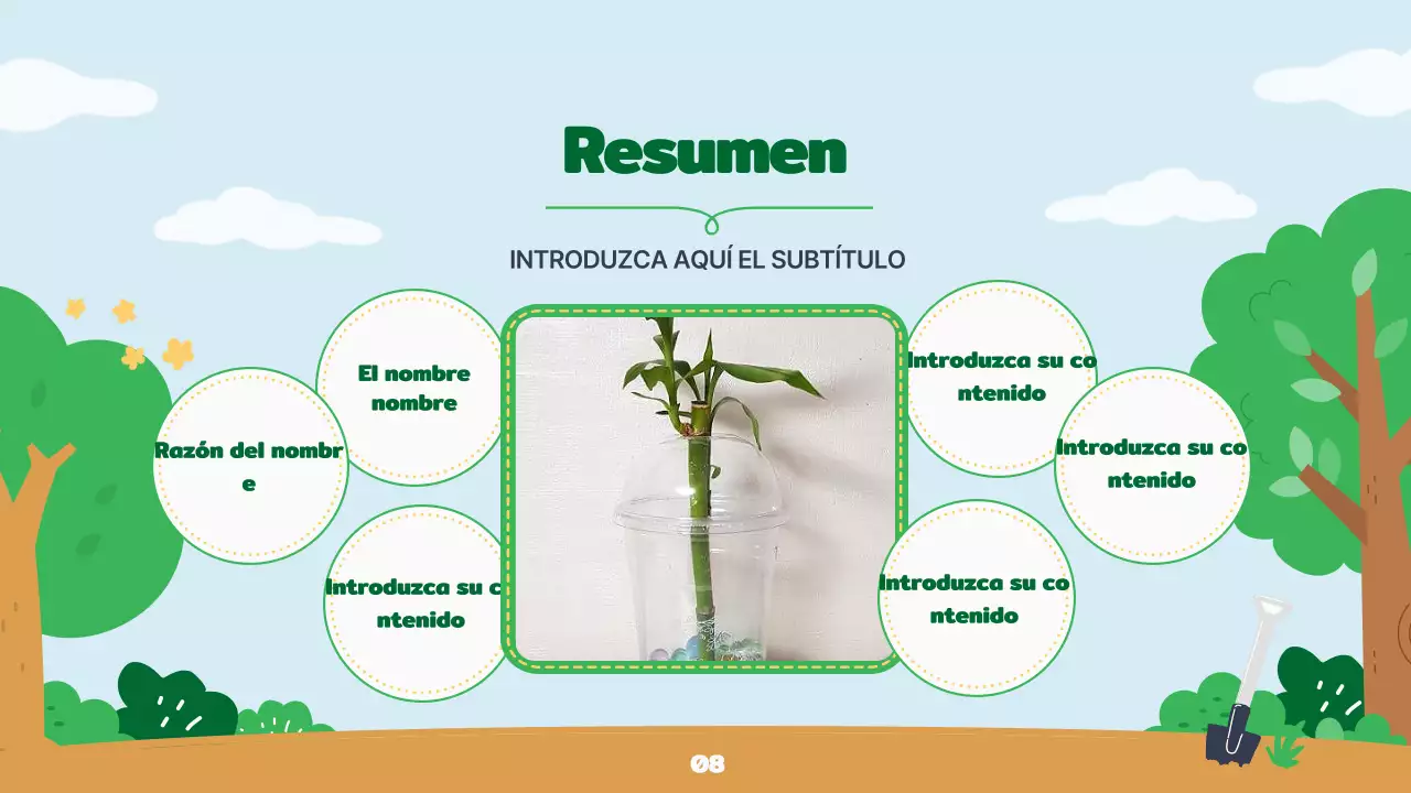 Cómo hacer una maceta verde, cálida y acogedora para el Día del Árbol