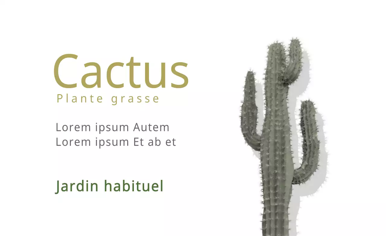 Cactus
