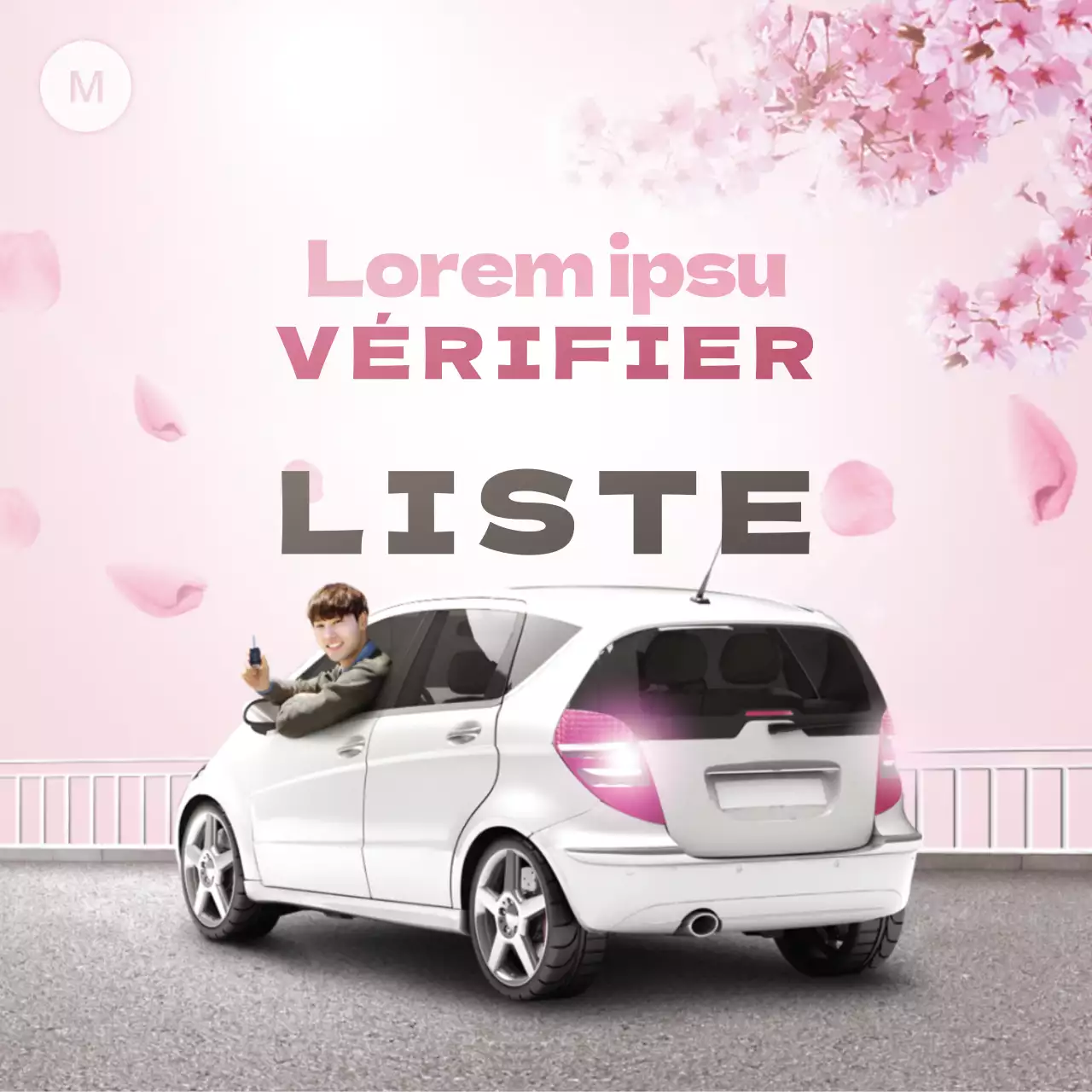 Inspection du véhicule