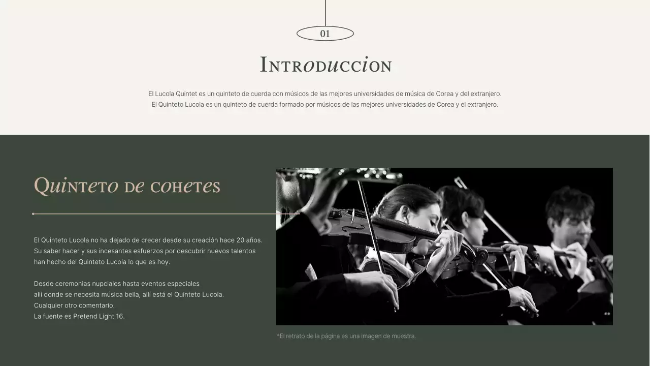 Cartera del grupo Performance en color caqui