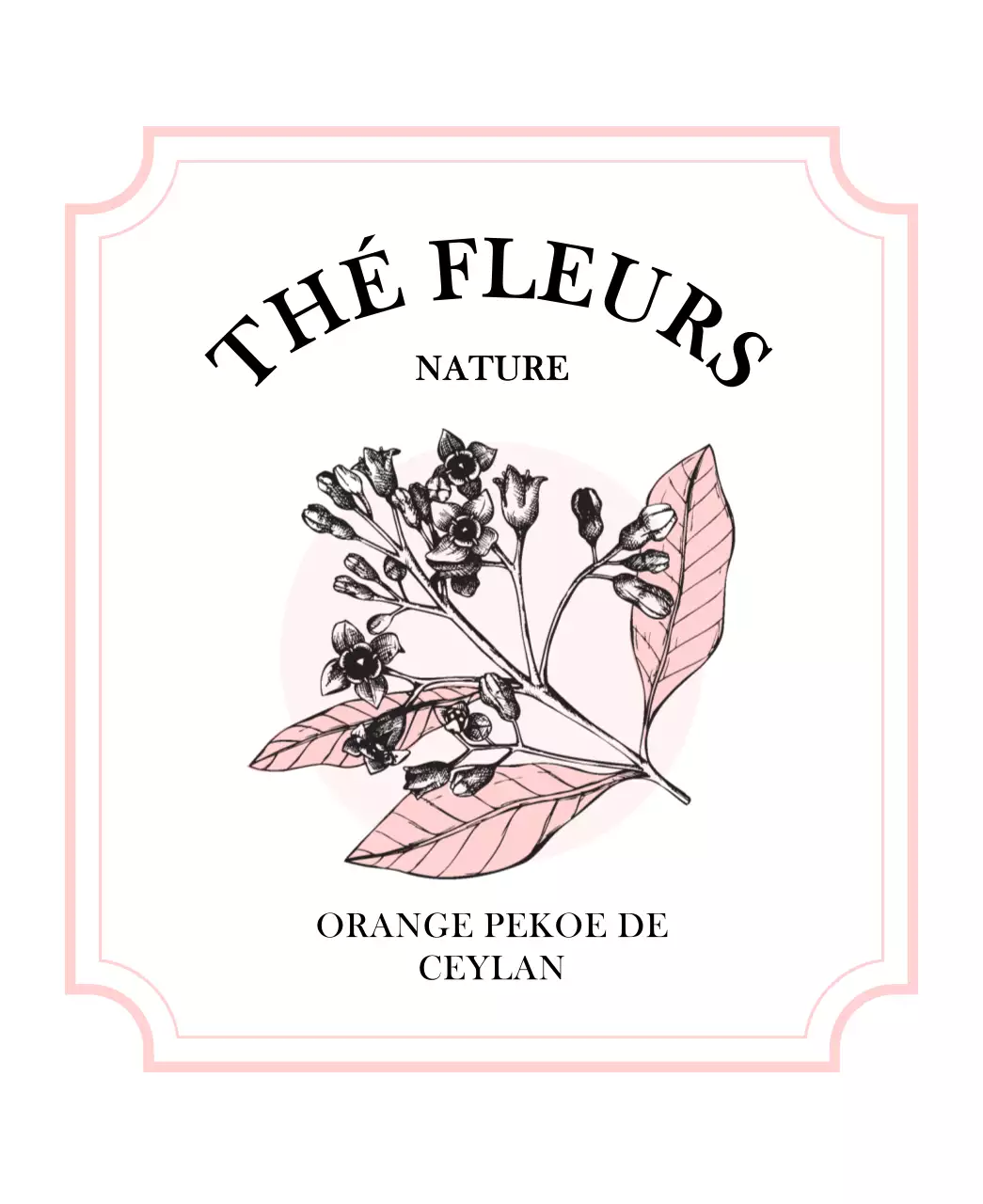 Sachets de thé luxueux avec des illustrations de plantes et de baies en rose pastel et bleu clair