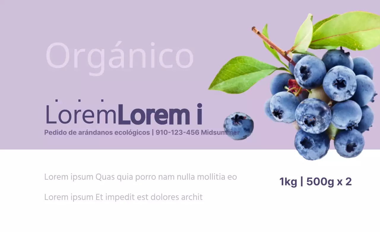 Arándanos ecológicos