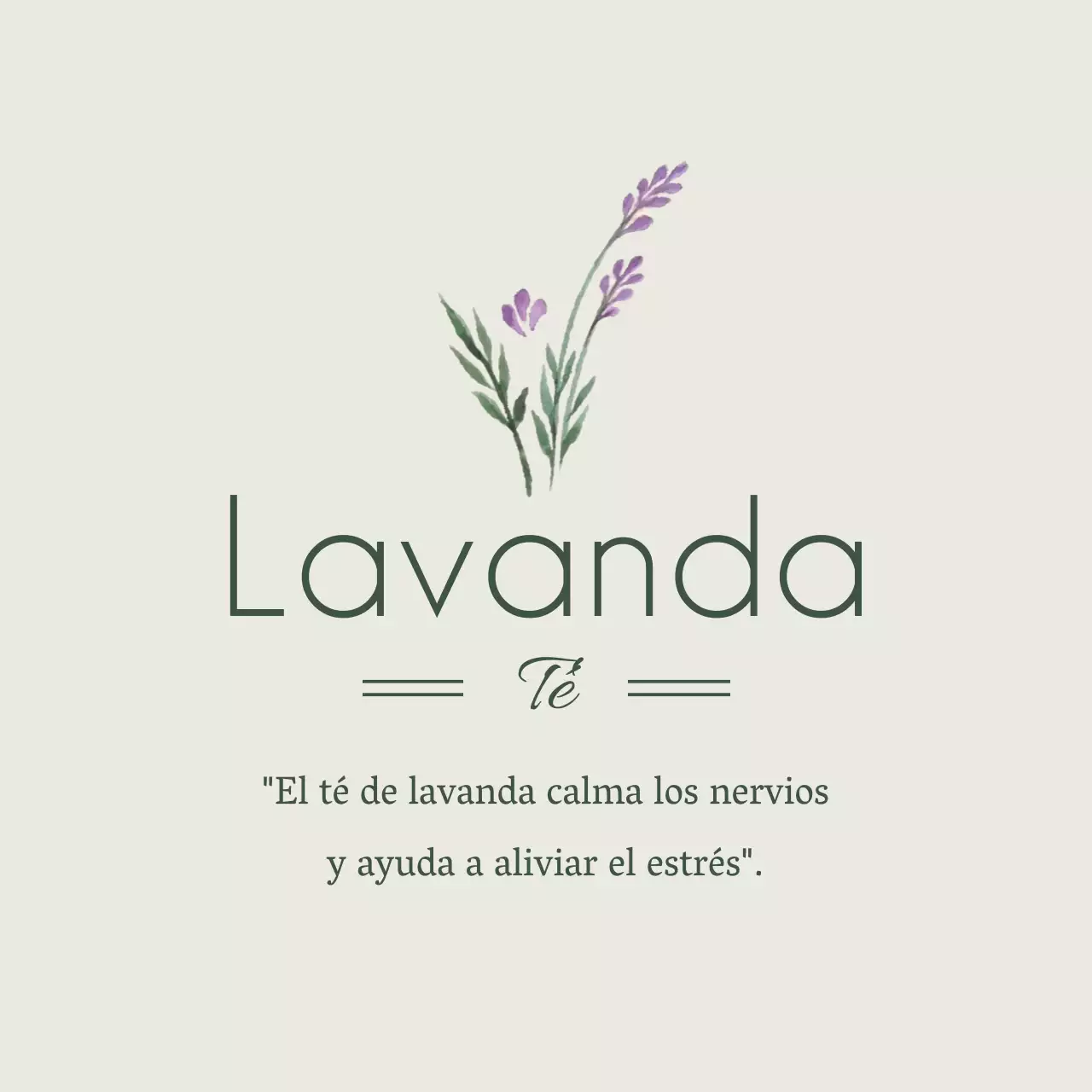 Lavanda