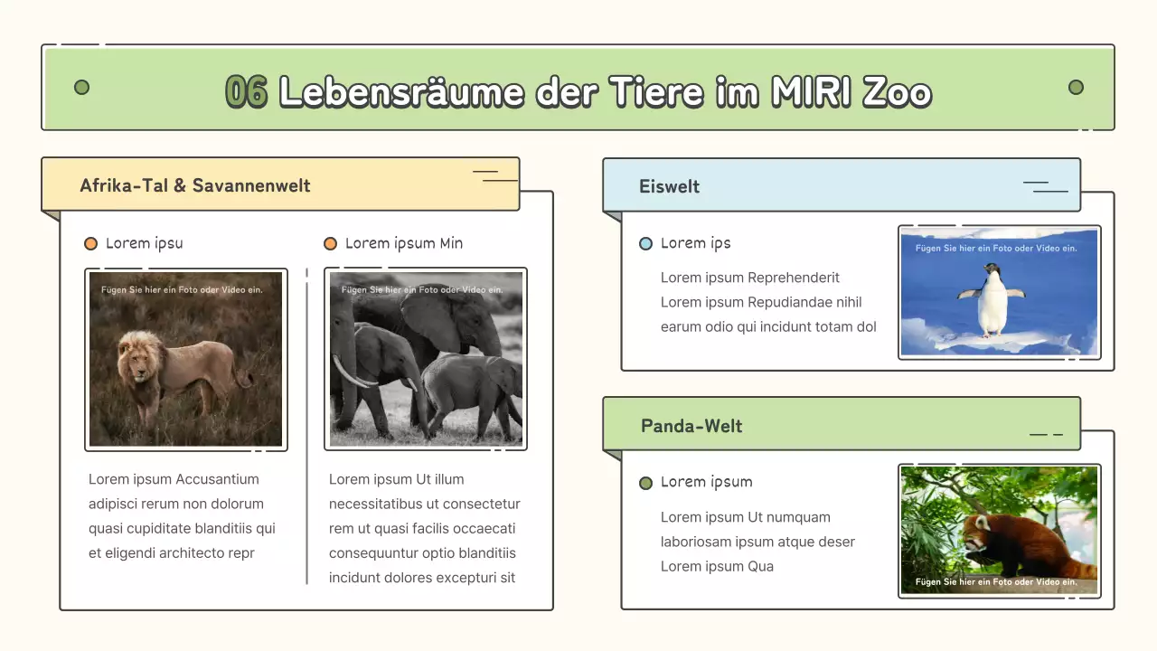 Zoopädagogische Materialien in Pastelltönen von Gelb, Chartreuse und Hellblau