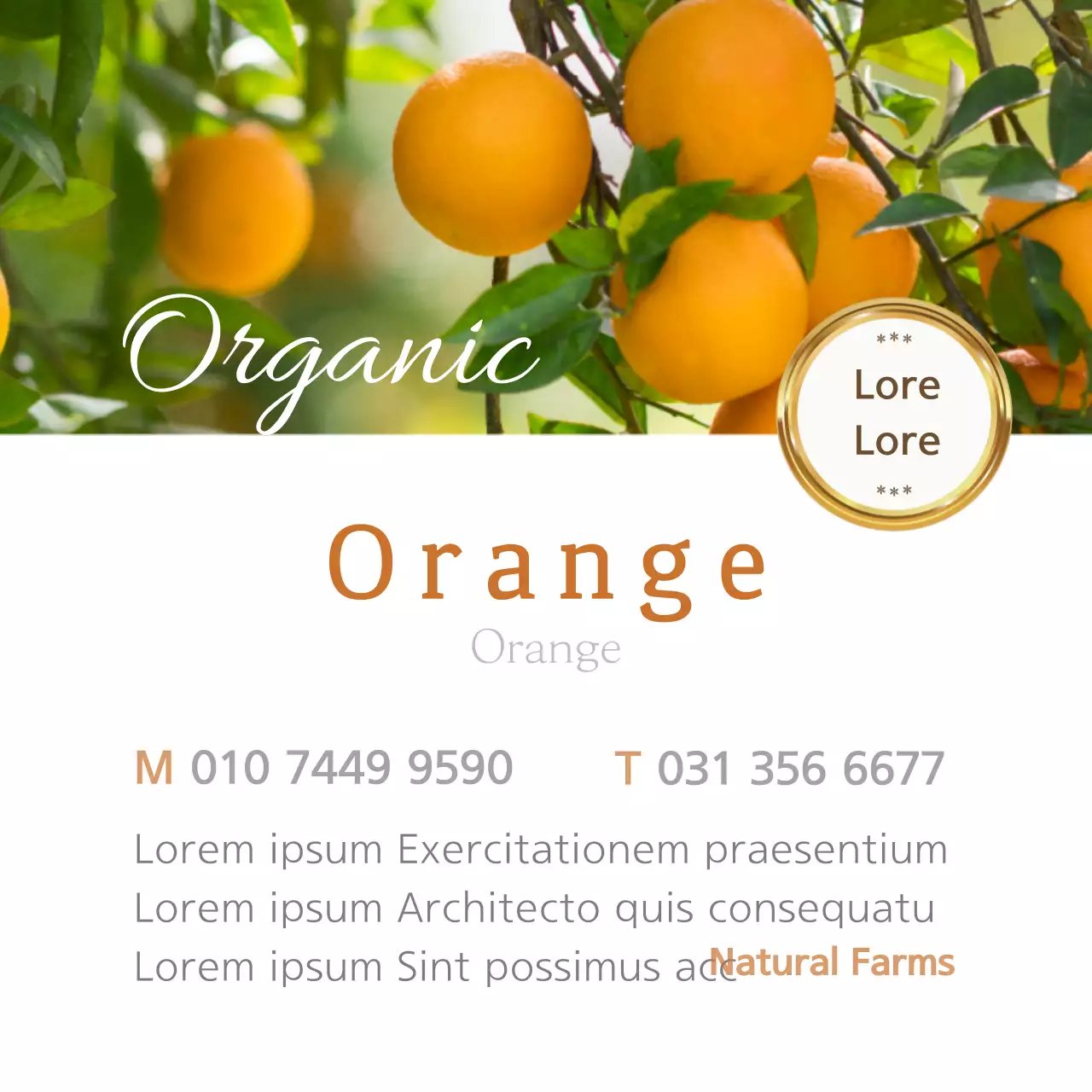 Biểu ngữ quảng cáo hữu cơ Orange Rustic