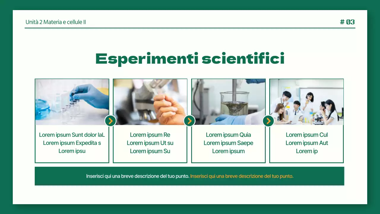 Relazioni di laboratorio di scienze ordinate in verde e arancione