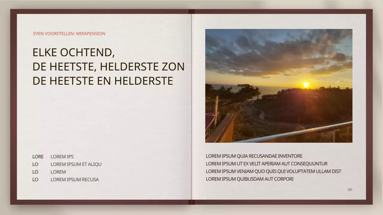 Brunton's boek concept pensioengids