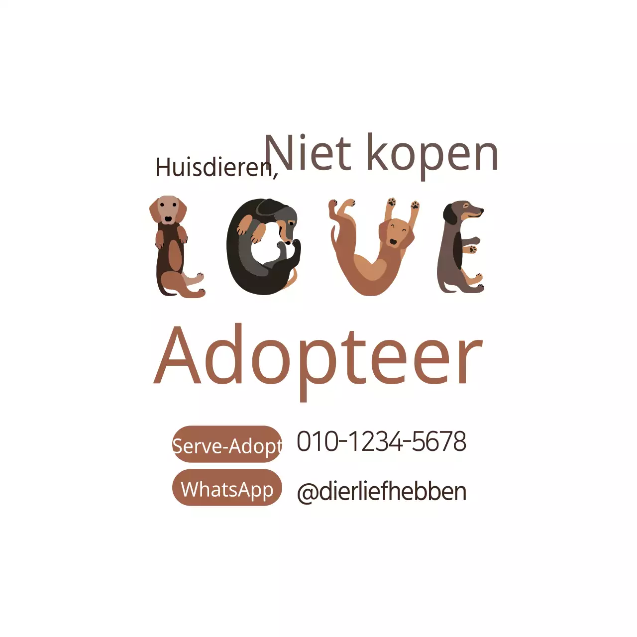 Adopteer een zwerfhond