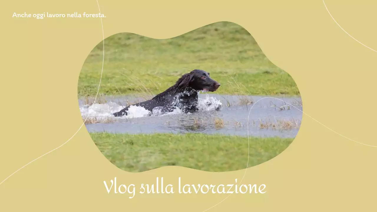 Miniature del vlog di YouTube Giallo Lavoro Vacanza