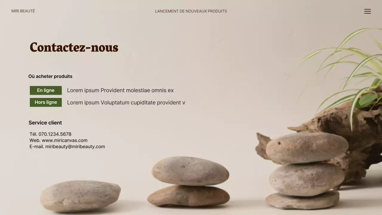 Nouveaux produits capillaires naturels en vert et beige