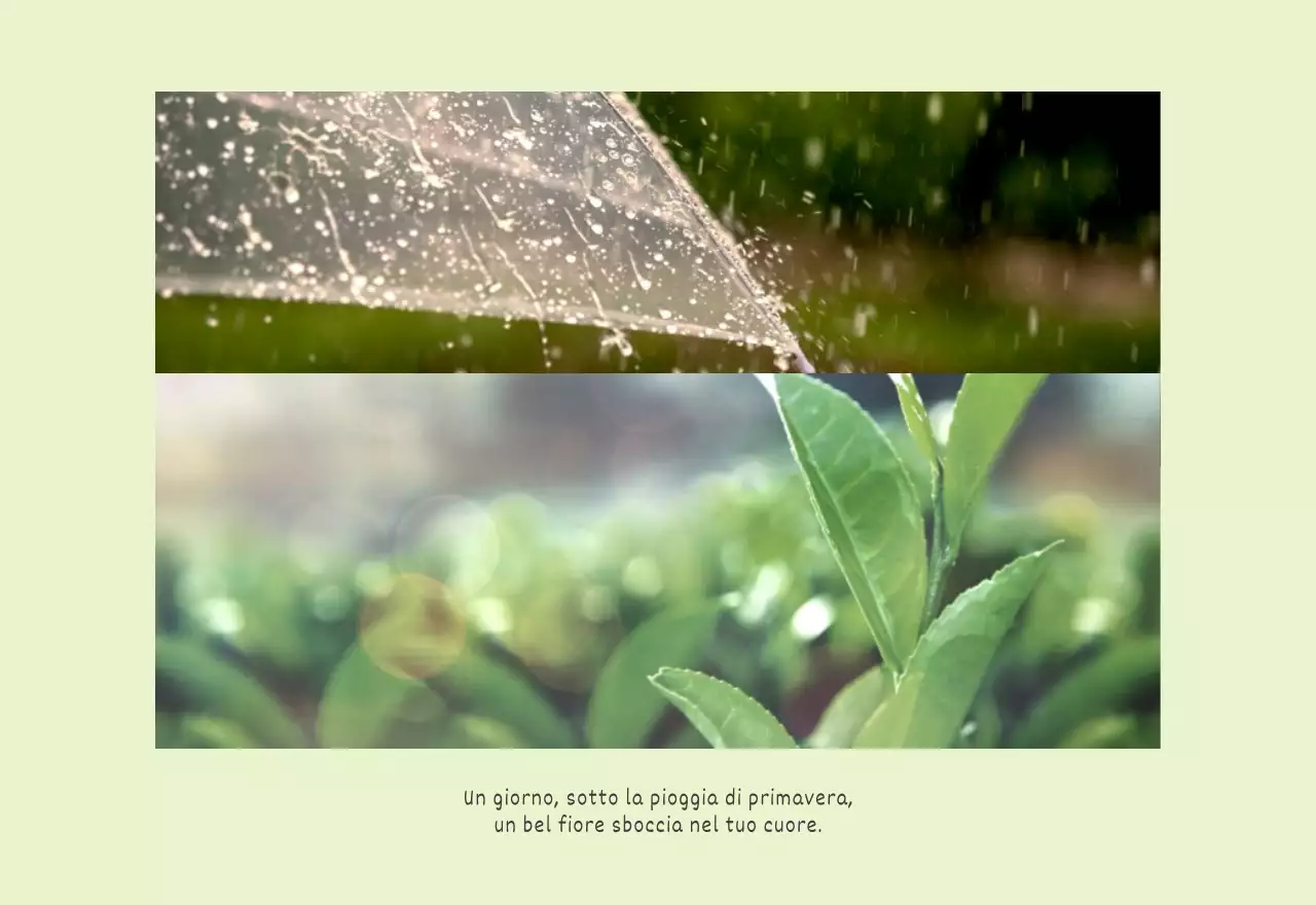 Bianco pulito natura botanica