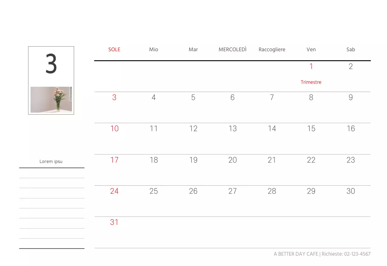 Bianco pulito natura botanica