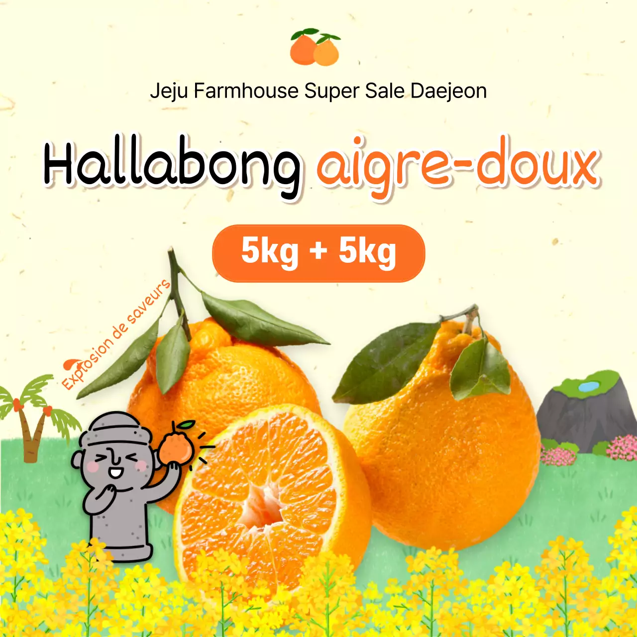 L'île de Jeju et Hallabong avec ses fleurs de colza jaunes