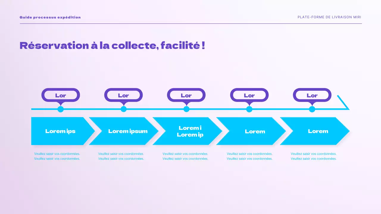 Présentation de la solution d'expédition facile purple sky Livraison