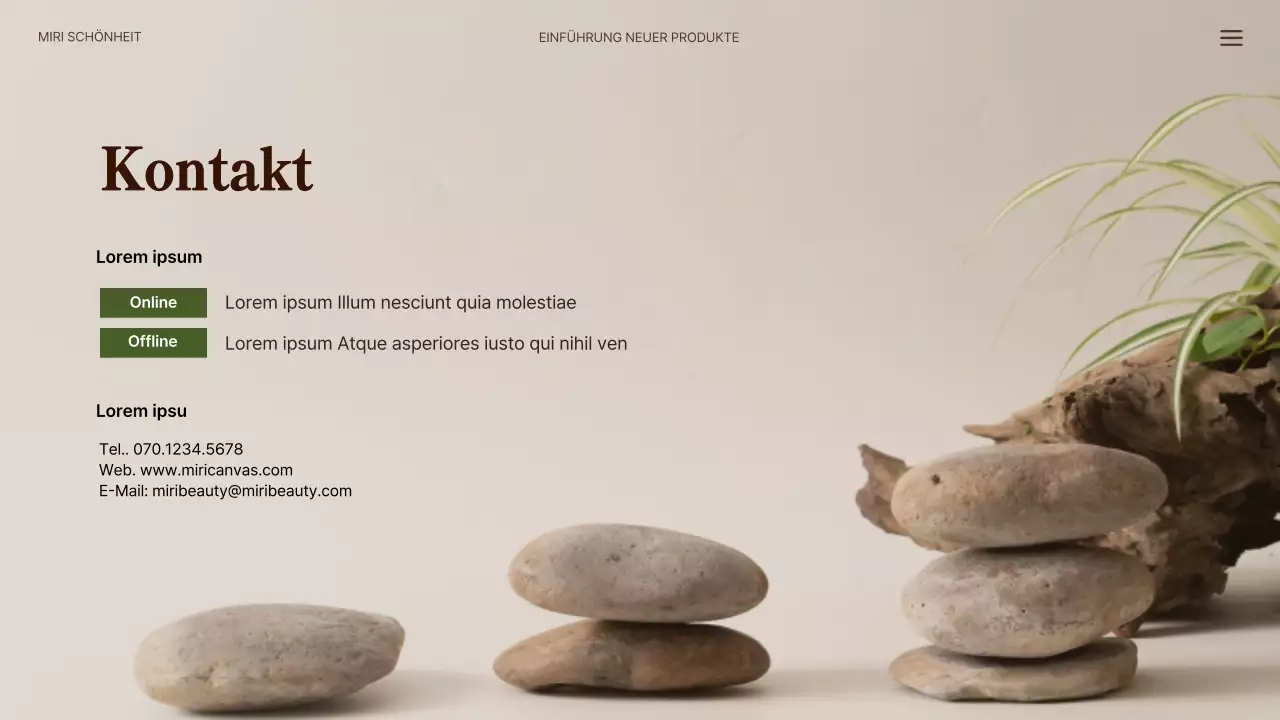 Neue Naturhaarprodukte in Grün und Beige