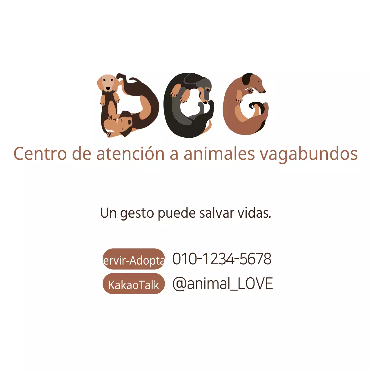 Centro de atención a animales vagabundos