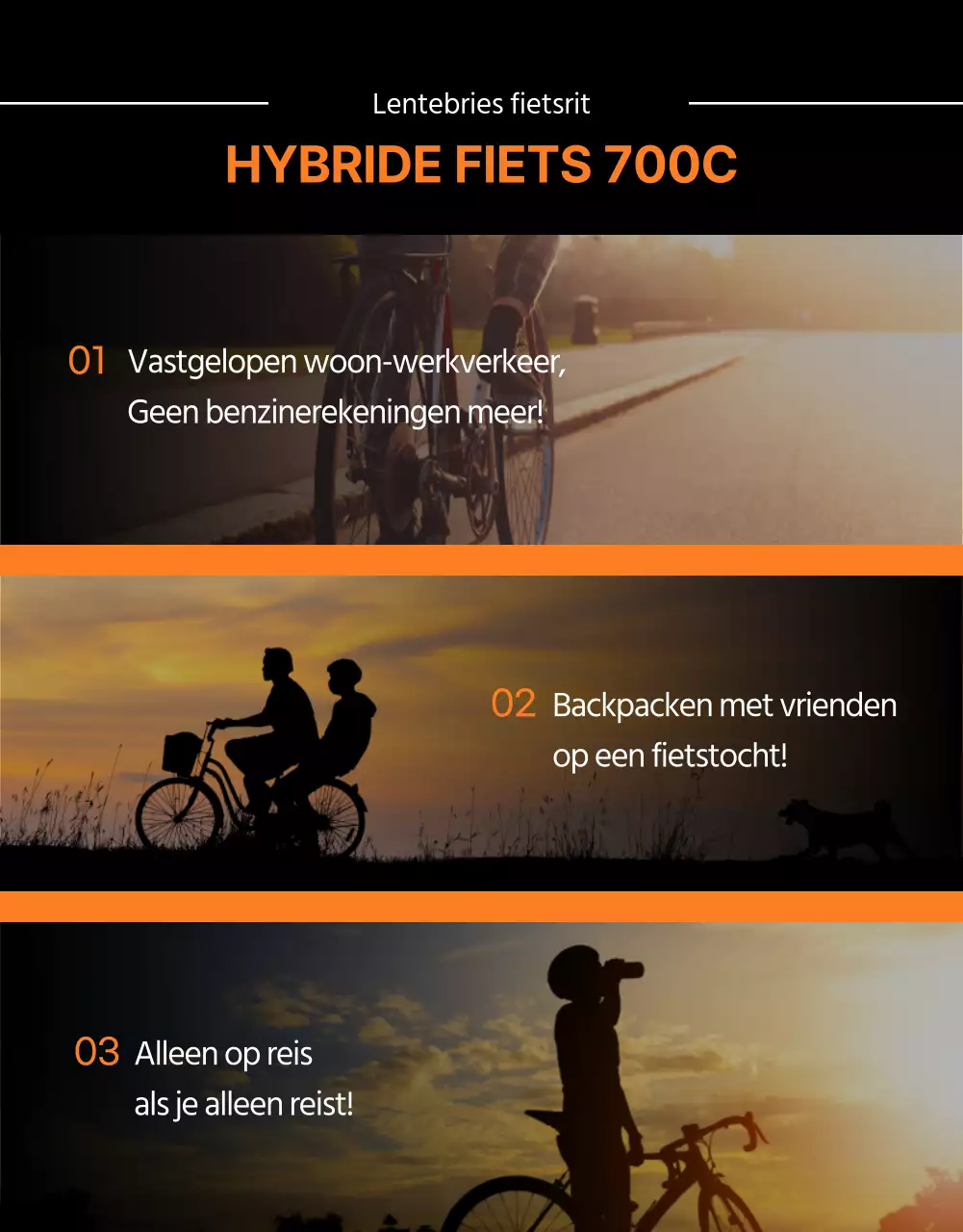 Promoot de heldere, gewaagde en actieve Mirisport hybride fiets in oranje en zwart.