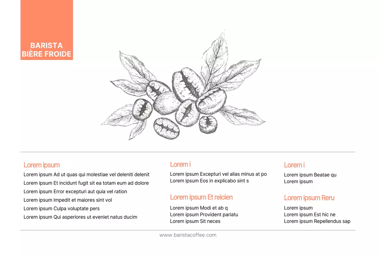 Illustration de haricots bruns Carte d'information sur un produit de caféCarte postale