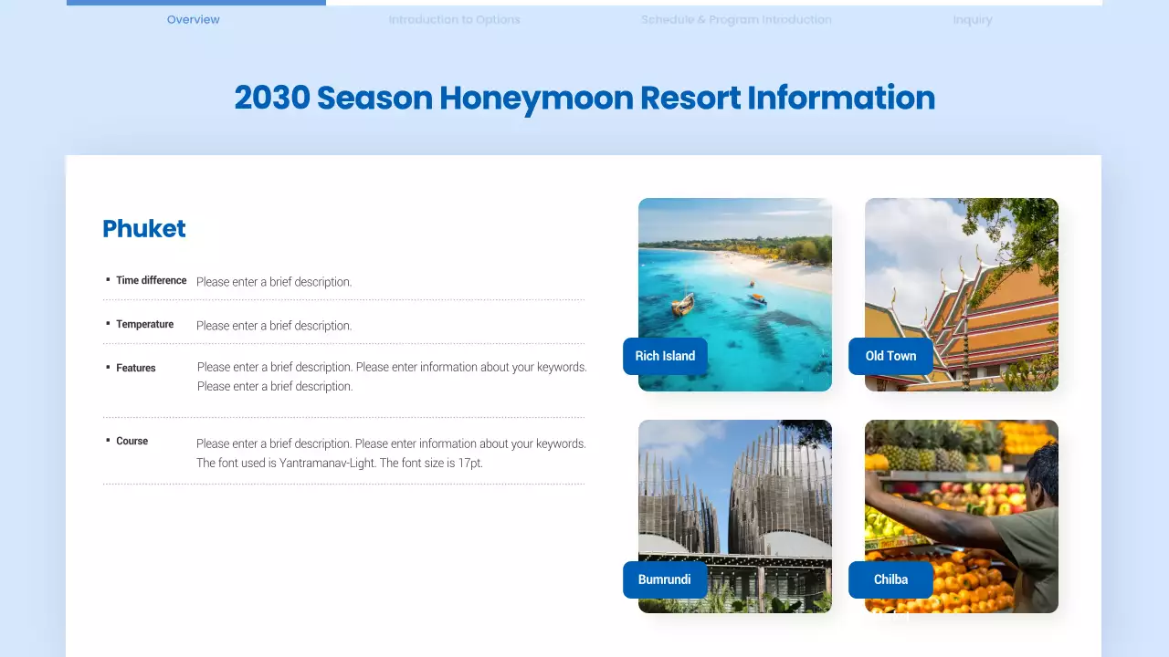 Blue Modern Honeymoon Proposal Presentation