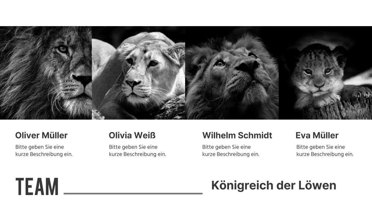 Schwarz-Weiß-Präsentationen