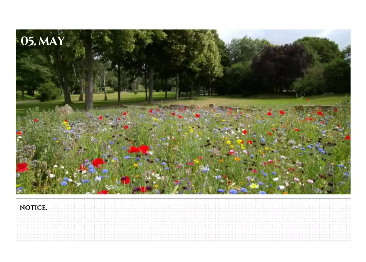 Simple style wall calendar with black and white emotional travel photography concept