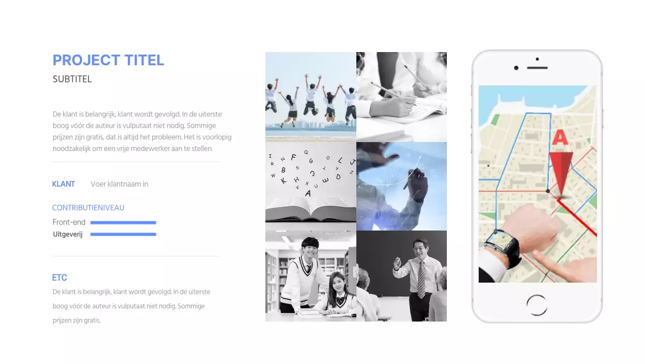 Ontwikkelaarsportfolio in blauw