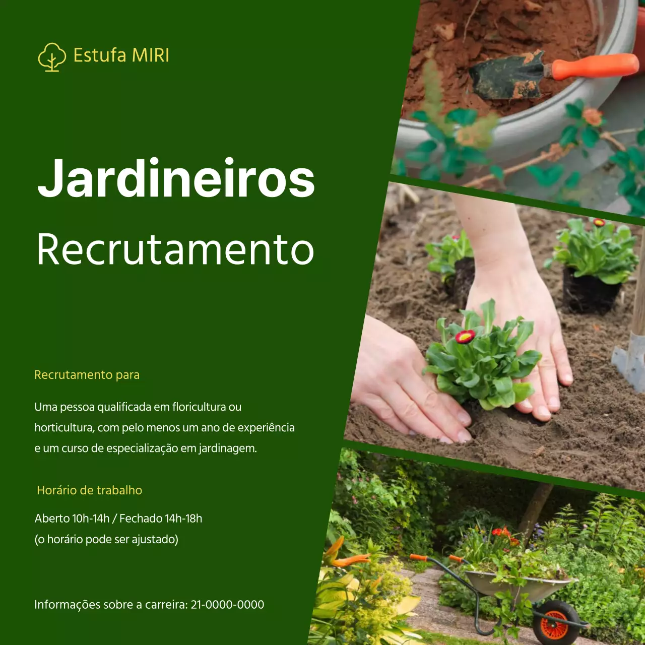 Anúncio de recrutamento de conceito simples com fundo verde e moldura fotográfica V2