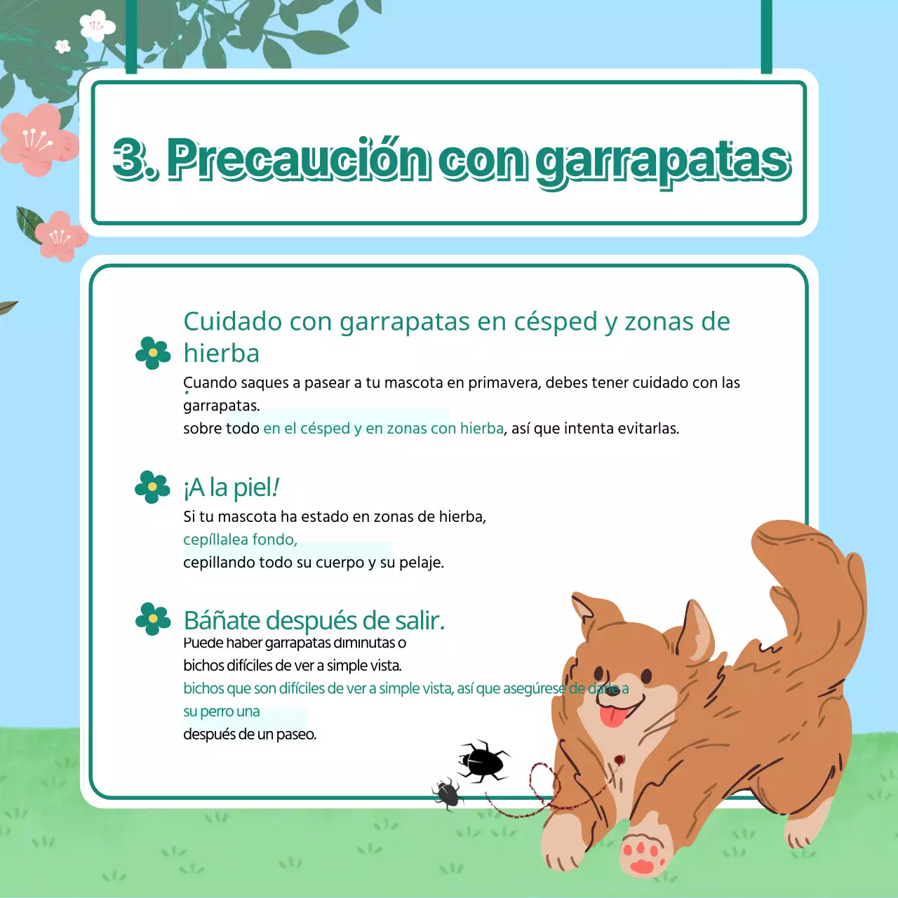 Un lindo cachorro con un fondo primaveral y consejos de salud CardNews