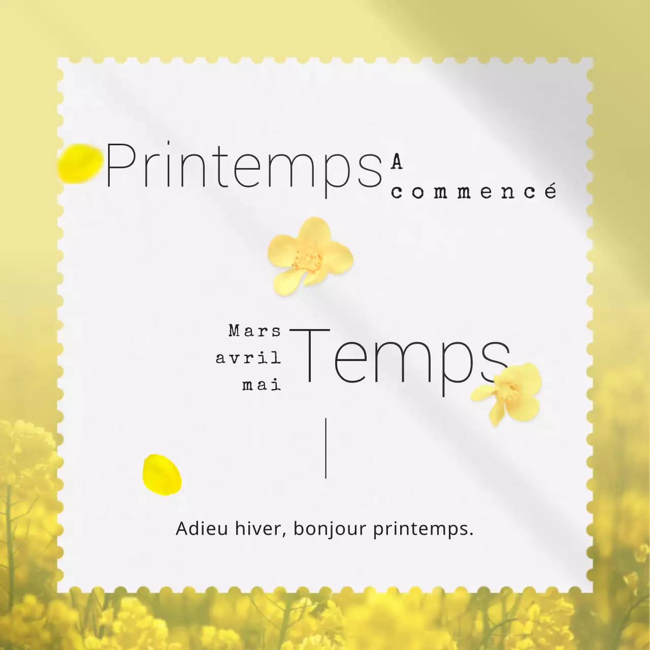 Cartes postales printanières et florales douces, sentimentales et fraîches dans des tons pastels et jaunes pour les célébrations du Nouvel An chinois.