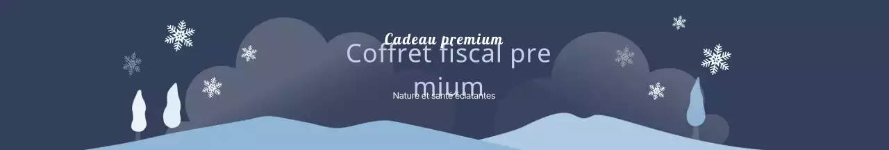 Emballage mignon du coffret cadeau du Nouvel An chinois avec illustrations bleues