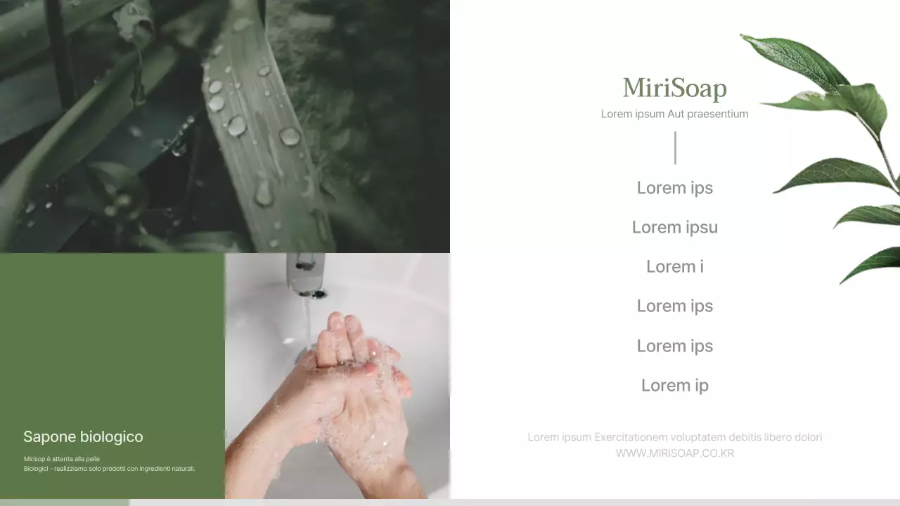 Proposta di iscrizione per un sapone di concetto naturalistico verde e beige