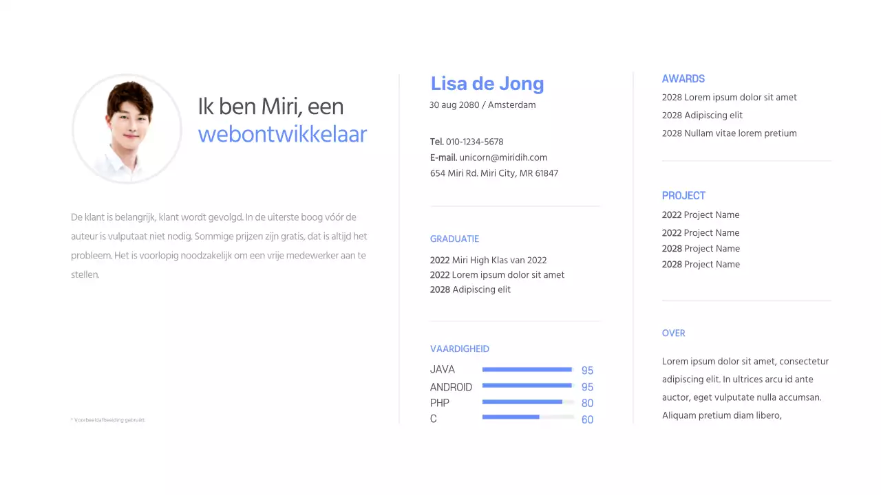 Ontwikkelaarsportfolio in blauw