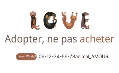Adopter, ne pas acheter