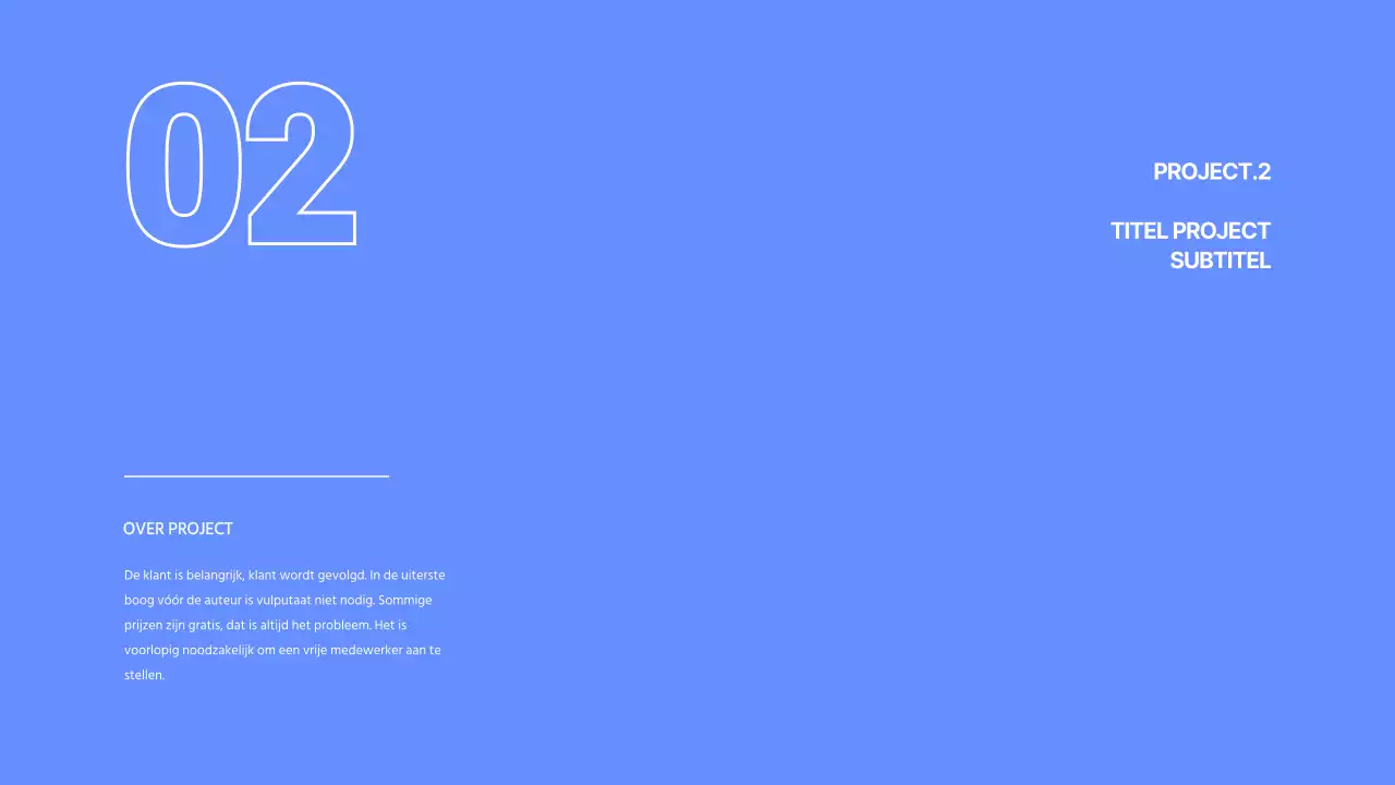 Ontwikkelaarsportfolio in blauw