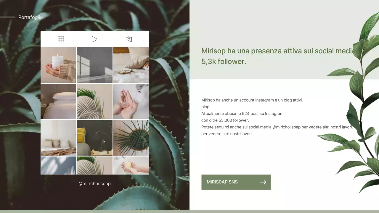 Proposta di iscrizione per un sapone di concetto naturalistico verde e beige