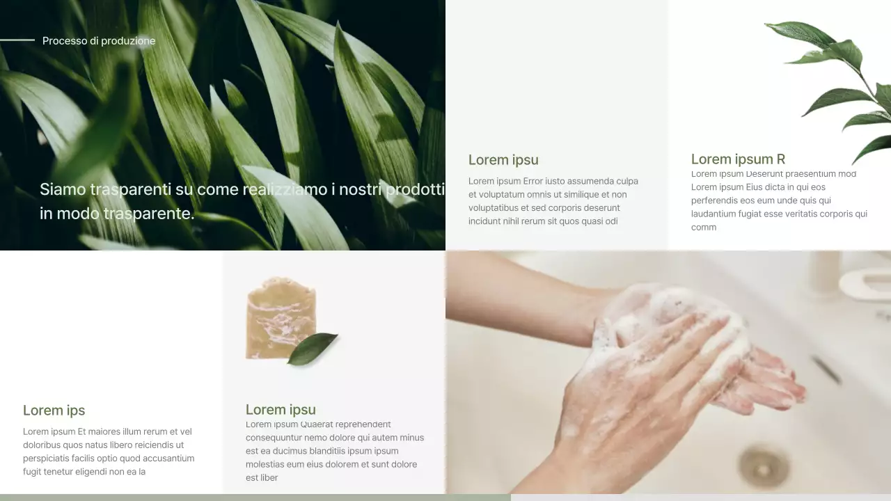 Proposta di iscrizione per un sapone di concetto naturalistico verde e beige