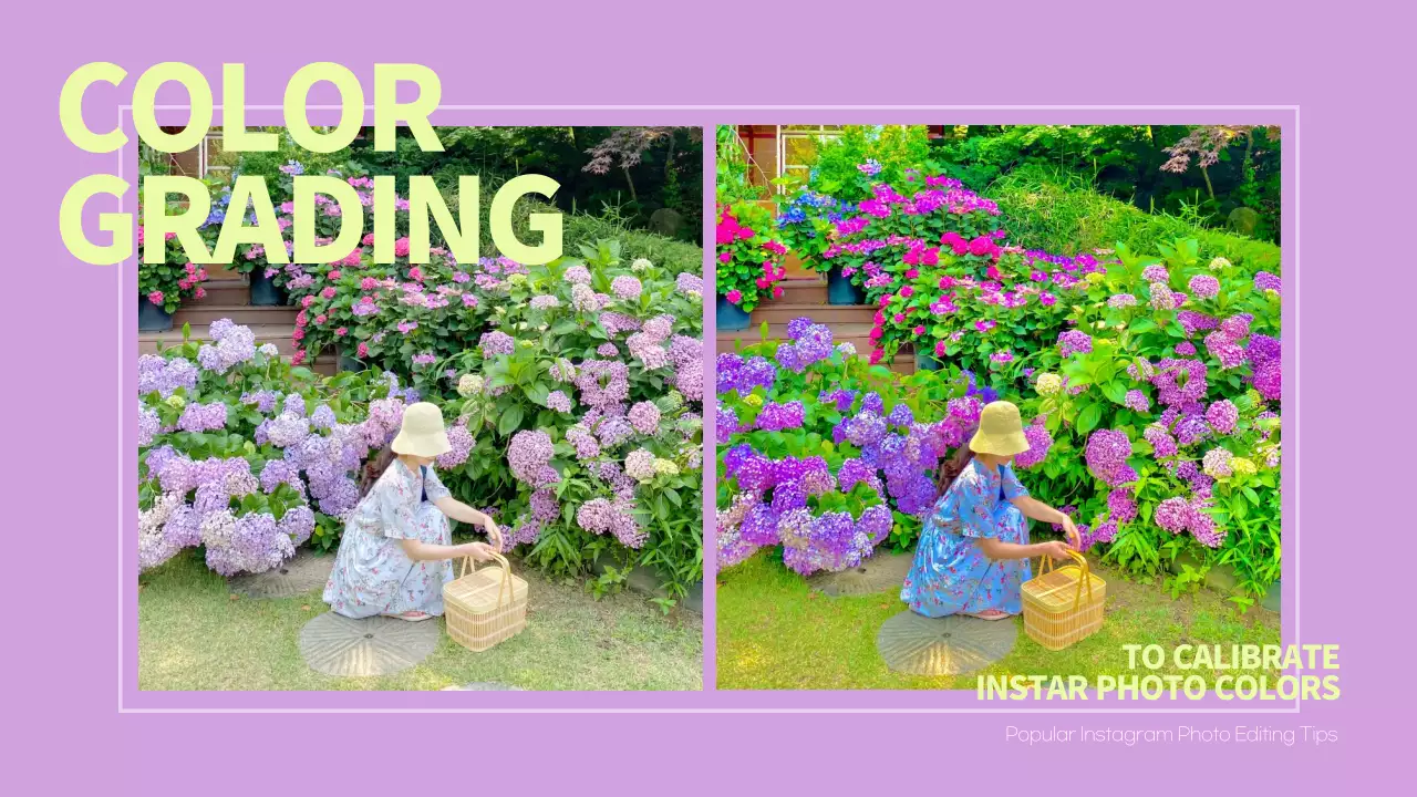 Panduan Foto Trendi Ungu Gambar Mini YouTube