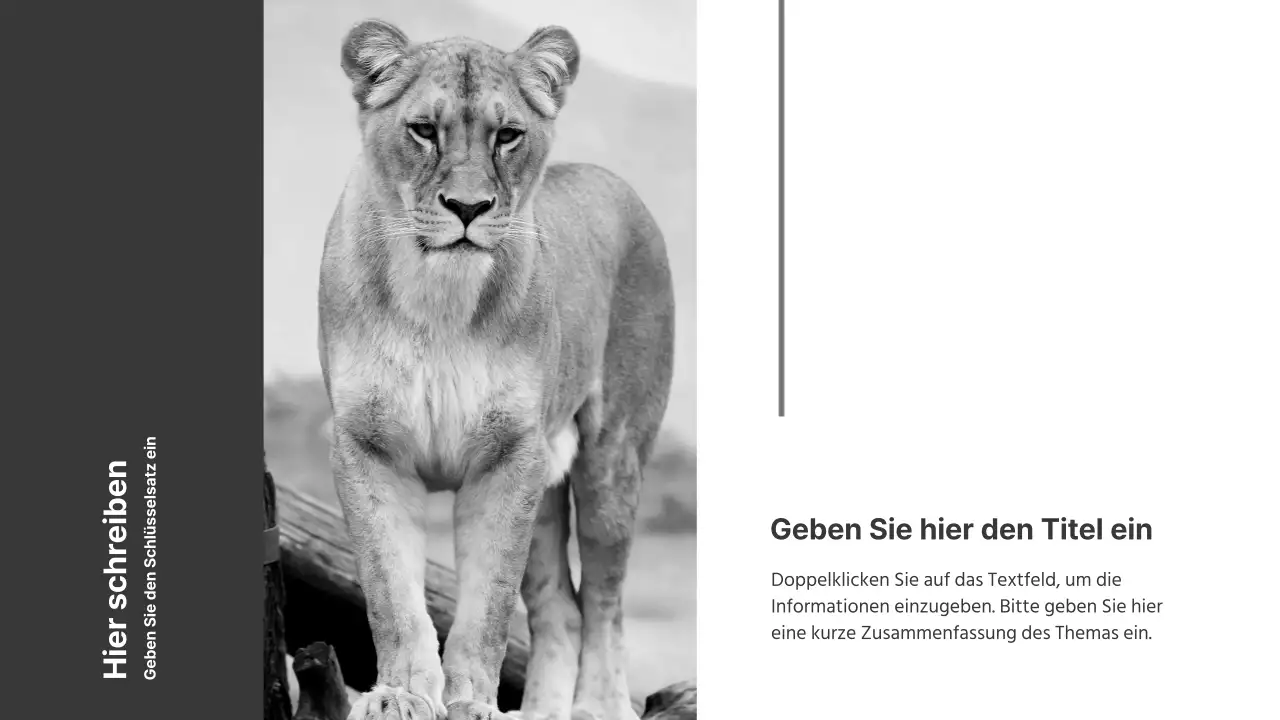 Schwarz-Weiß-Präsentationen