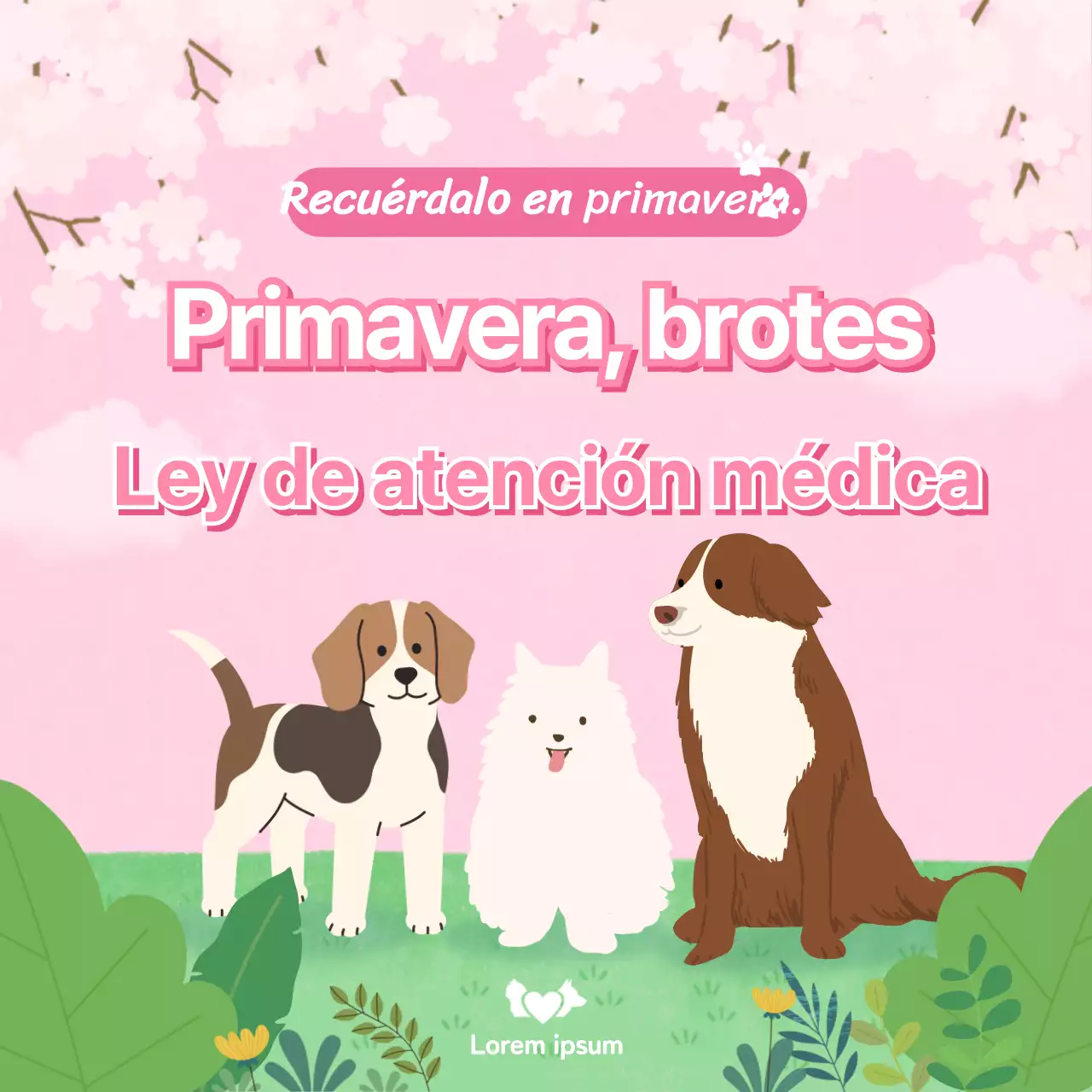 Un lindo cachorro con un fondo primaveral y consejos de salud CardNews