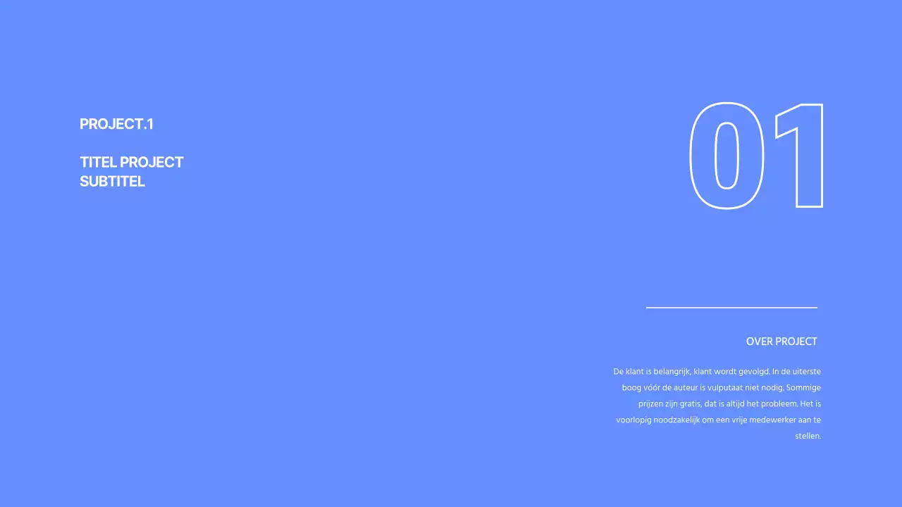 Ontwikkelaarsportfolio in blauw