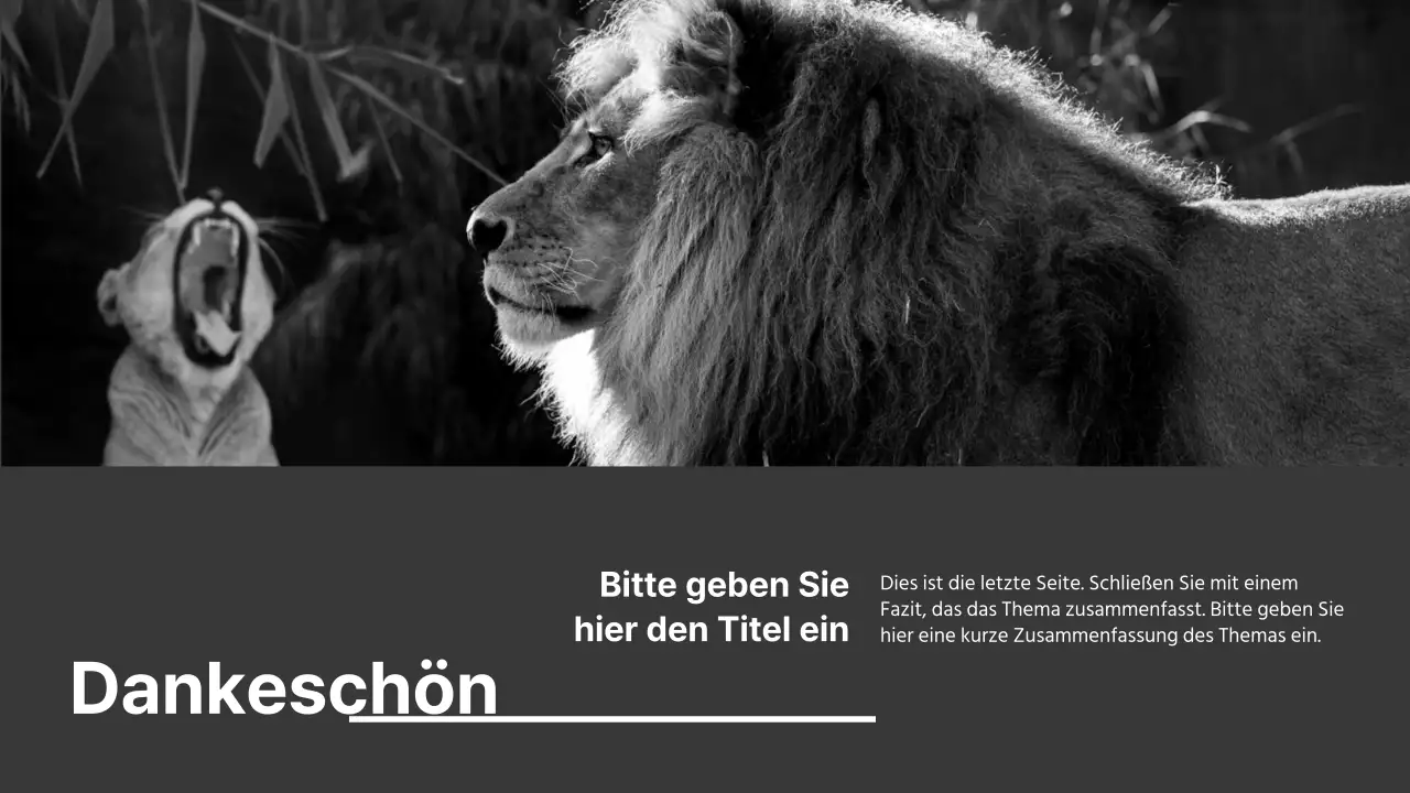 Schwarz-Weiß-Präsentationen